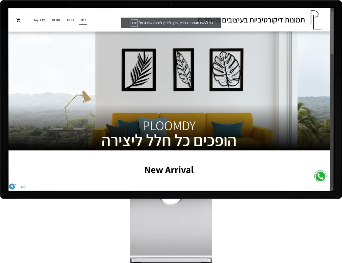Ploomdy - תמונות דקורטיביות - אתר מכירות לעסק בתחום עיצוב הבית